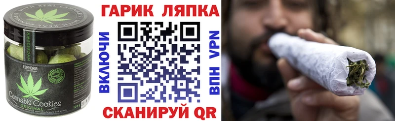 Купить где  Белозерск  Canna-Cookies конопля 