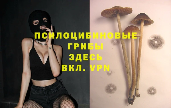 амф Алексеевка