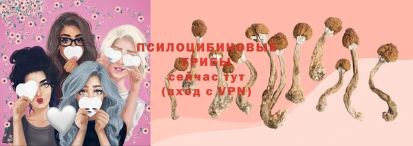 амф Алексеевка