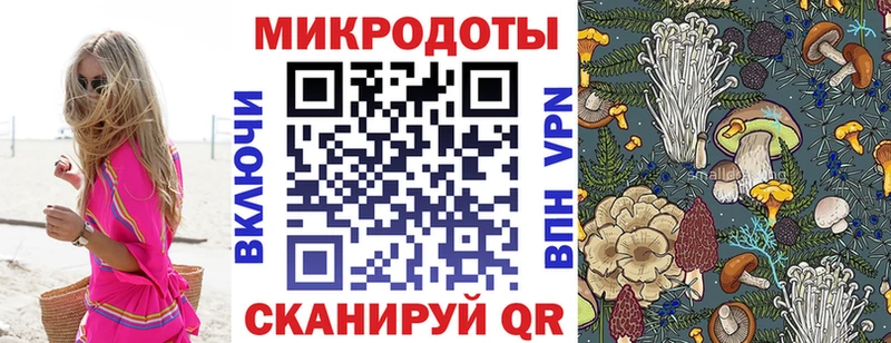 Купить закладки  Белозерск  Галлюциногенные грибы мицелий 